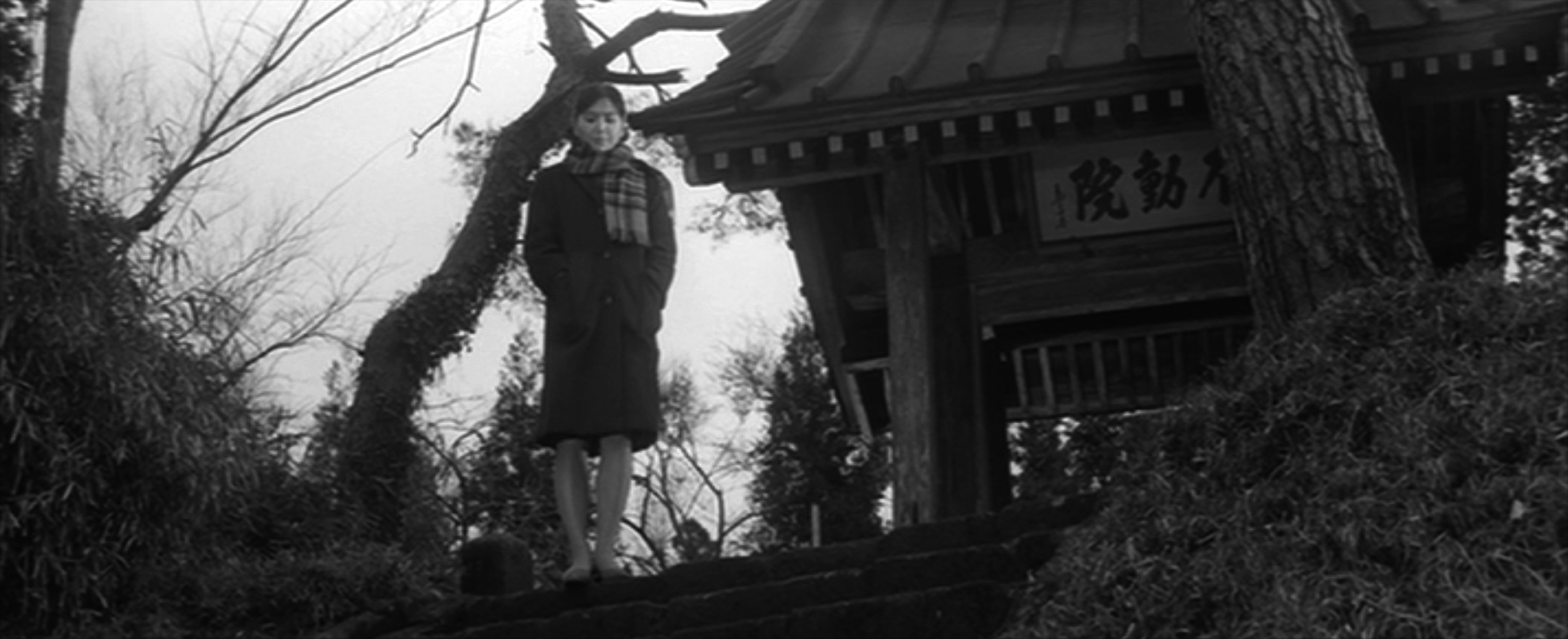 伊藤るり子（Ruriko Ito）「河内カルメン」（1966）_e0042361_19572203.jpg