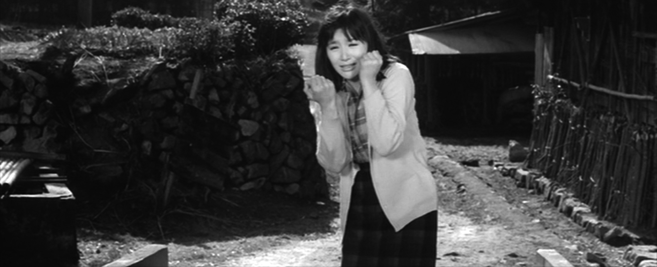 伊藤るり子（Ruriko Ito）「河内カルメン」（1966）_e0042361_19573084.jpg