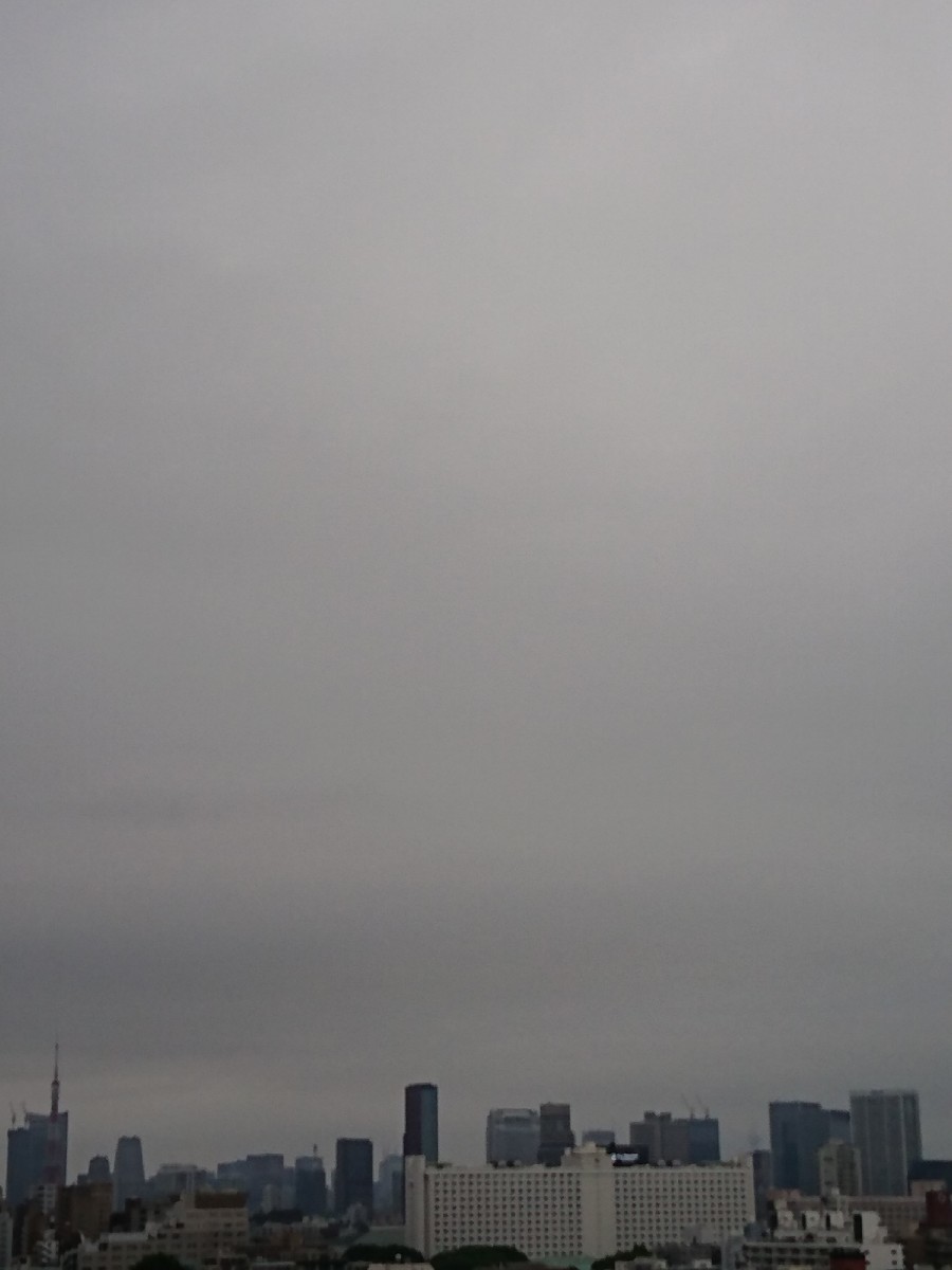 おはようモーニング_c0100865_05580786.jpg