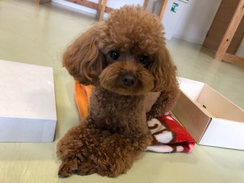 トレーニングブログ_f0357682_19330772.jpeg