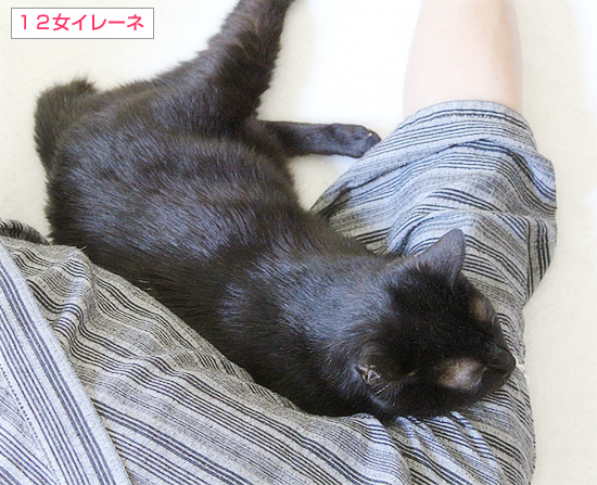 どこにいるの?_a0389088_17125002.jpg