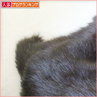 どこにいるの?_a0389088_17125148.jpg