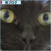 どこにいるの?_a0389088_17125198.jpg
