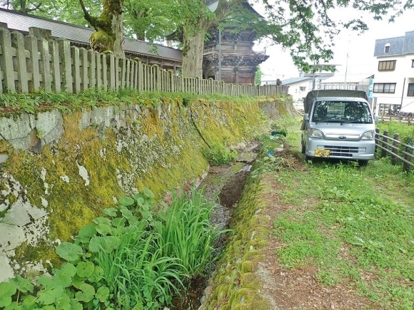 毘沙門堂の石垣脇の水路へ水芭蕉などを移植しました_c0336902_16162026.jpg