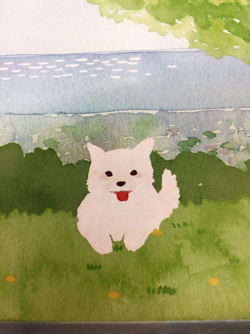 滅茶苦茶美味い揚げパンとエクシーガの魅力_f0076731_21301017.jpg