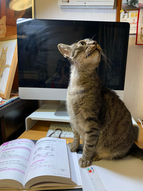 お邪魔虫くん。_d0355333_22231310.jpg