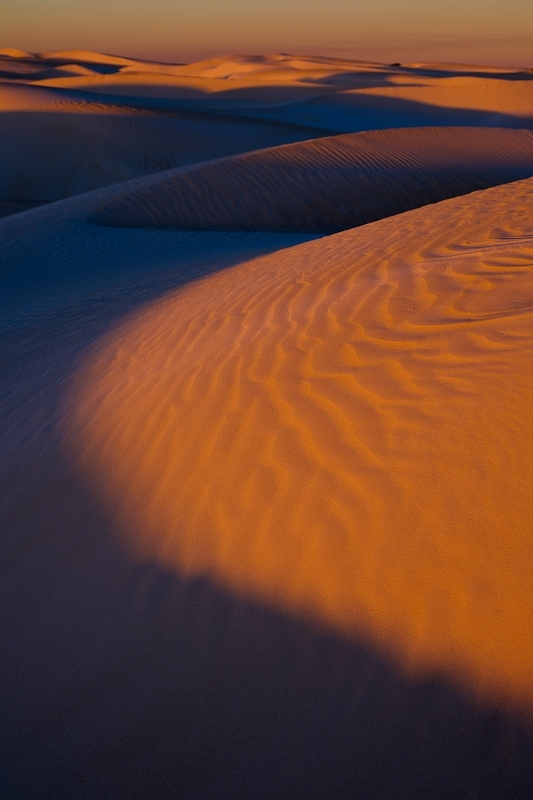 Dunes 色の世界_f0050534_09083552.jpg