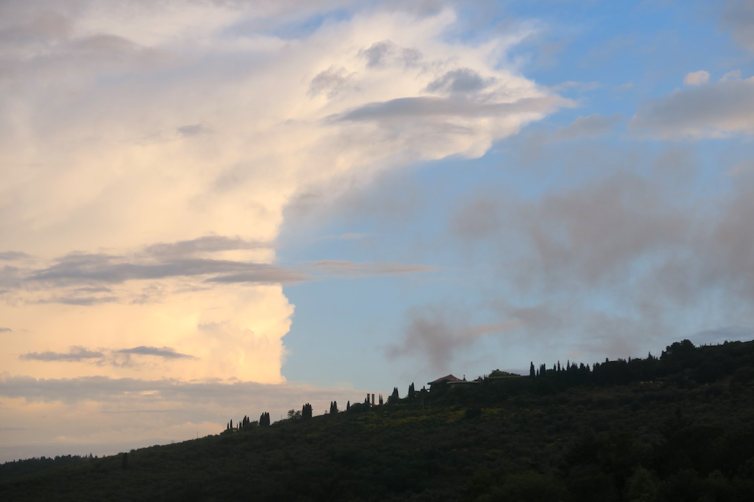 曇天気づけばバラ色の空_f0234936_1845858.jpg