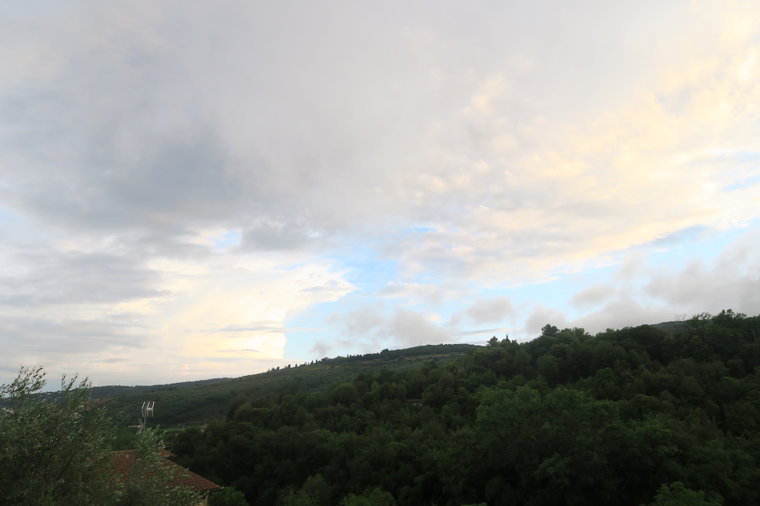 曇天気づけばバラ色の空_f0234936_18481962.jpg