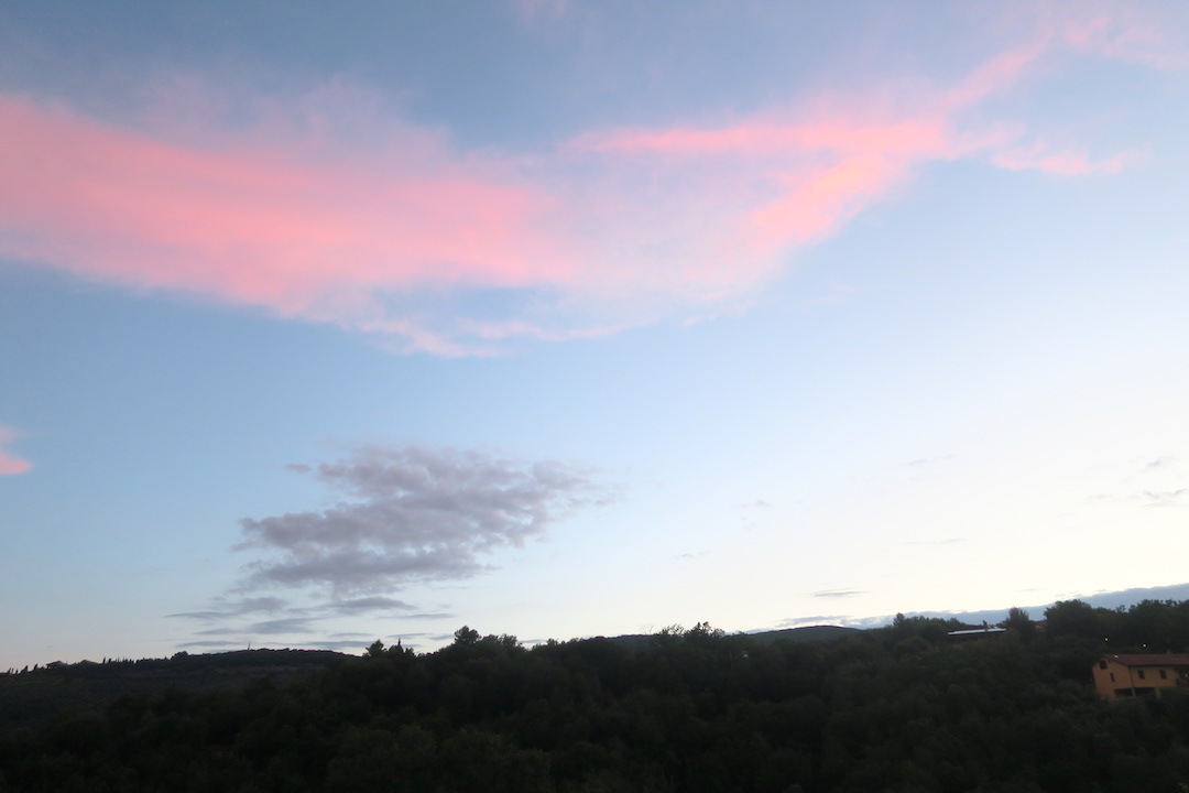 曇天気づけばバラ色の空_f0234936_1914515.jpg