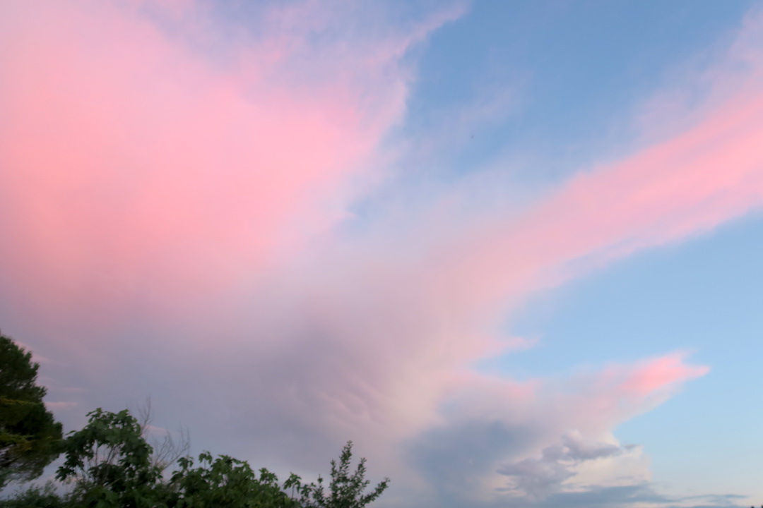 曇天気づけばバラ色の空_f0234936_1963028.jpg