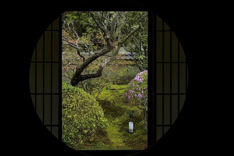 2020桜咲く京都 さくらと春の花咲く雲龍院_f0155048_23564227.jpg
