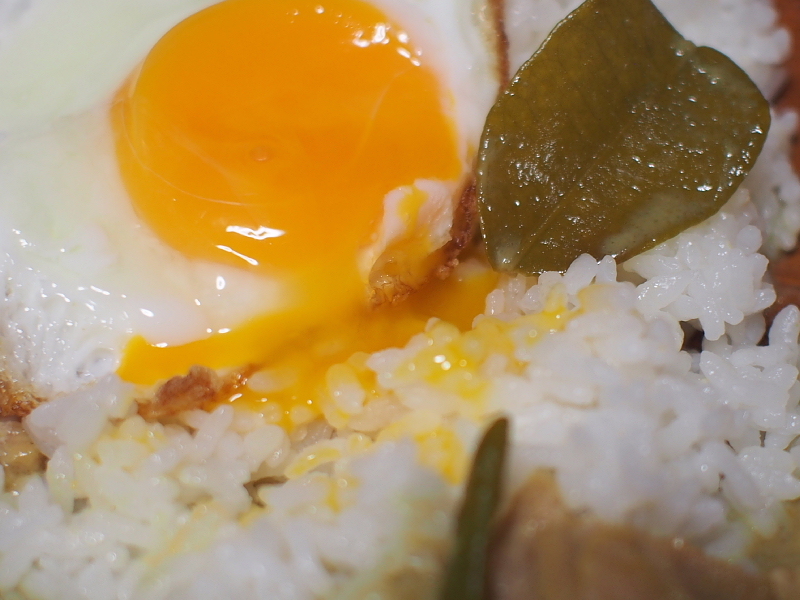 【レトルトカレー食べ比べ㉓】ヤマモリ「グリーンカレー」 ～恐れ入りました m(_ _)m_b0008655_22101322.jpg