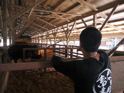 お歳暮にいかがですか!熊本県産黒毛和牛100%のハンバーグステーキを数量限定で予約販売中!_a0254656_19574885.jpg