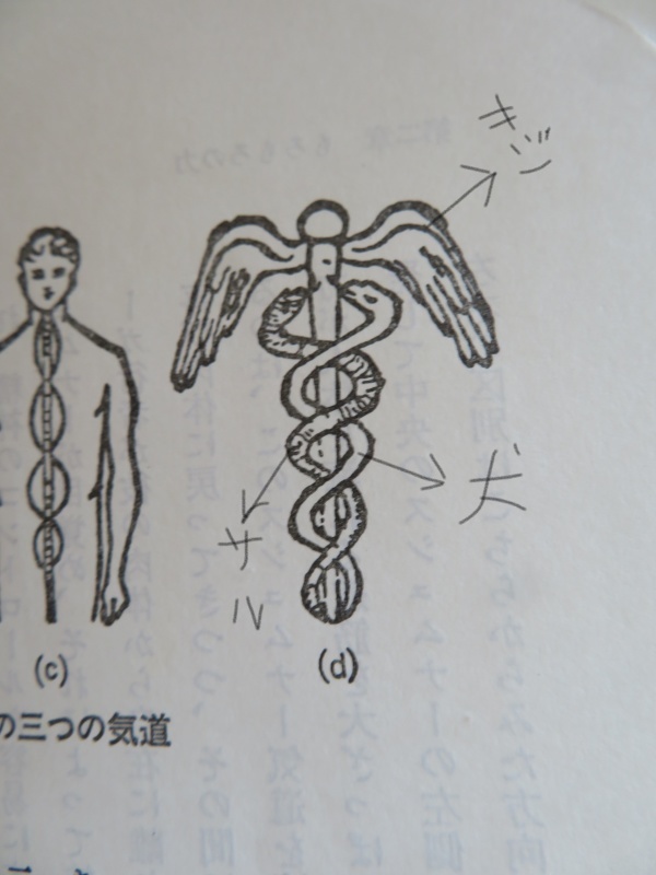 すでに【性エネルギー昇華秘法」を発見して、実践している者が【情報通】である！_d0241558_12243854.jpg