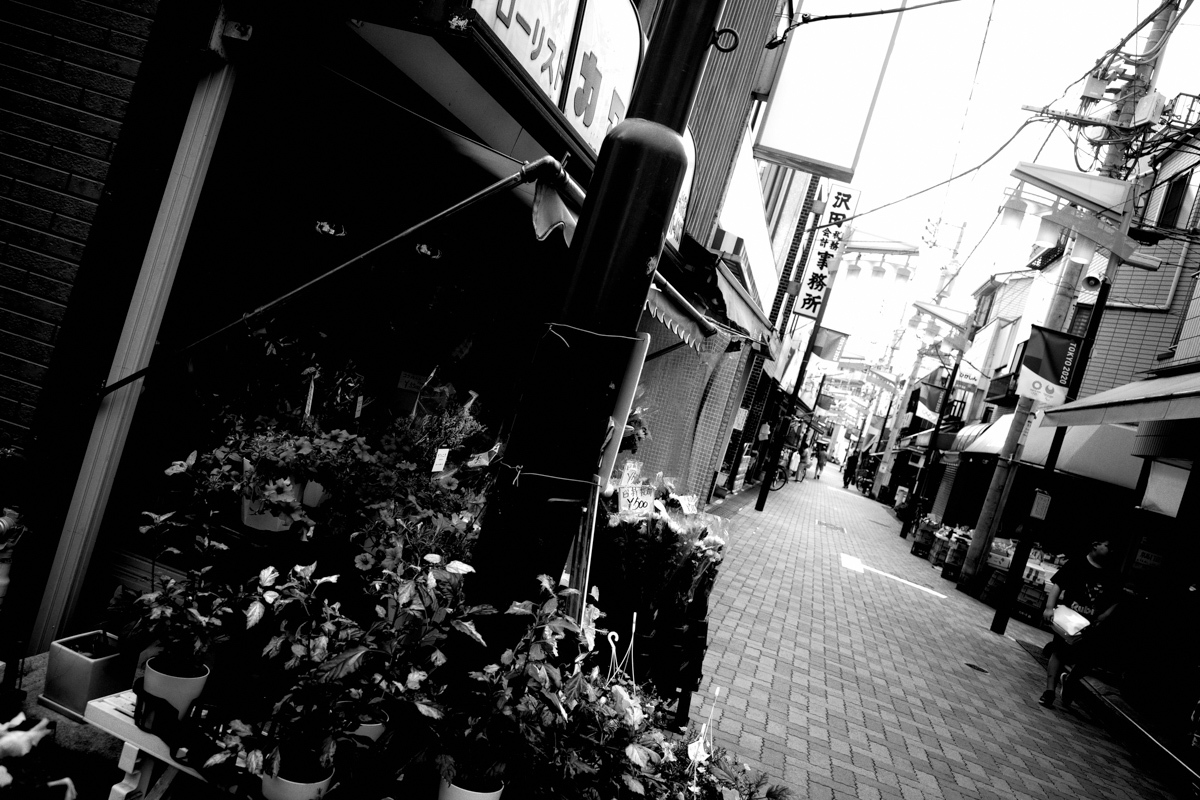 目指せ京島~Ⅳ_c0084666_12180245.jpg