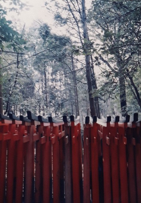 【夥しすぎて記事分けますね】アナログ写真photomyneスキャン;京都奈良湖東オタモイ遊園地懸造り建築物七天王塚ほか_b0116271_10533508.jpg
