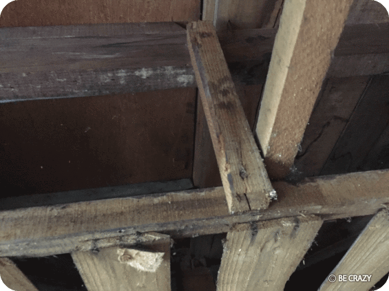 ガレージのリフォーム 〜その5_e0305176_01575427.gif