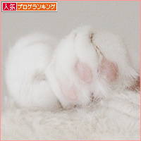 誰の足?_a0389088_17205837.jpg