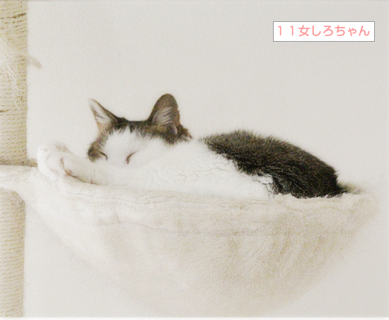誰の足?_a0389088_17205883.jpg