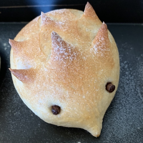 パン作りの体験教室に 参加される方も増えました ホッ_a0134394_05213038.jpeg