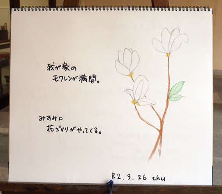モクレン_b0364195_11574284.jpg