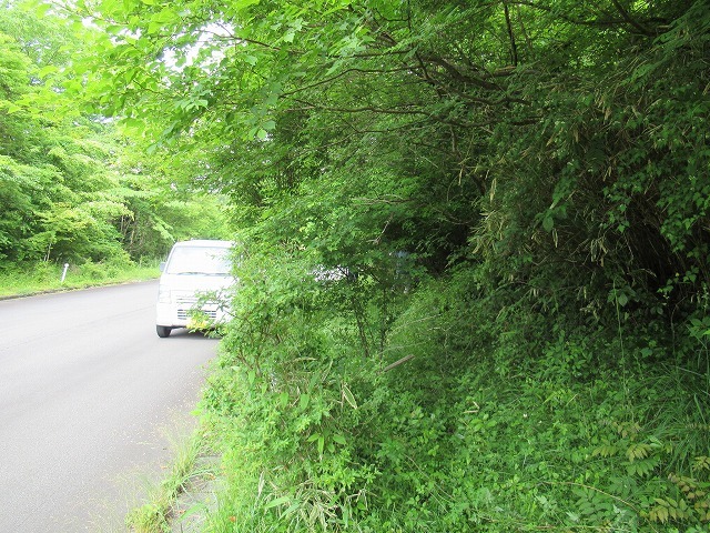 富士マウントライオンズクラブに入会し ふじ山夢ロード の植樹作業に参加 富士市議会議員 小池としあき
