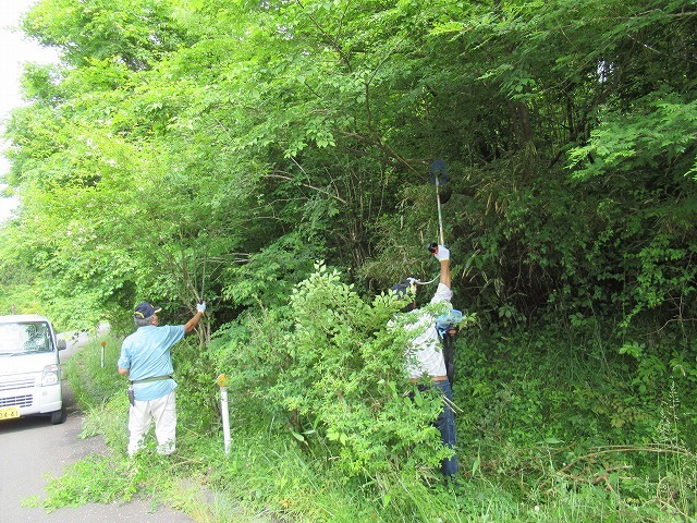 富士マウントライオンズクラブに入会し ふじ山夢ロード の植樹作業に参加 富士市議会議員 小池としあき
