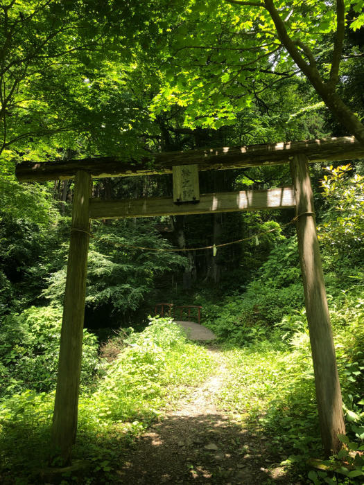 下界は暑くとも_b0067012_00383028.jpg
