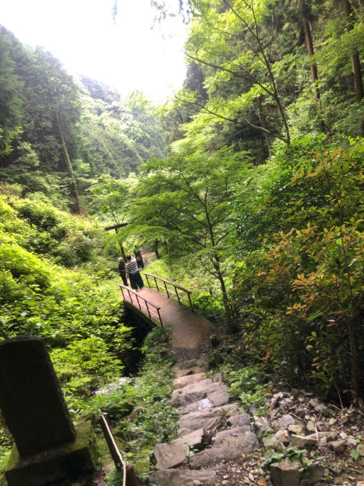 下界は暑くとも_b0067012_00413360.jpg