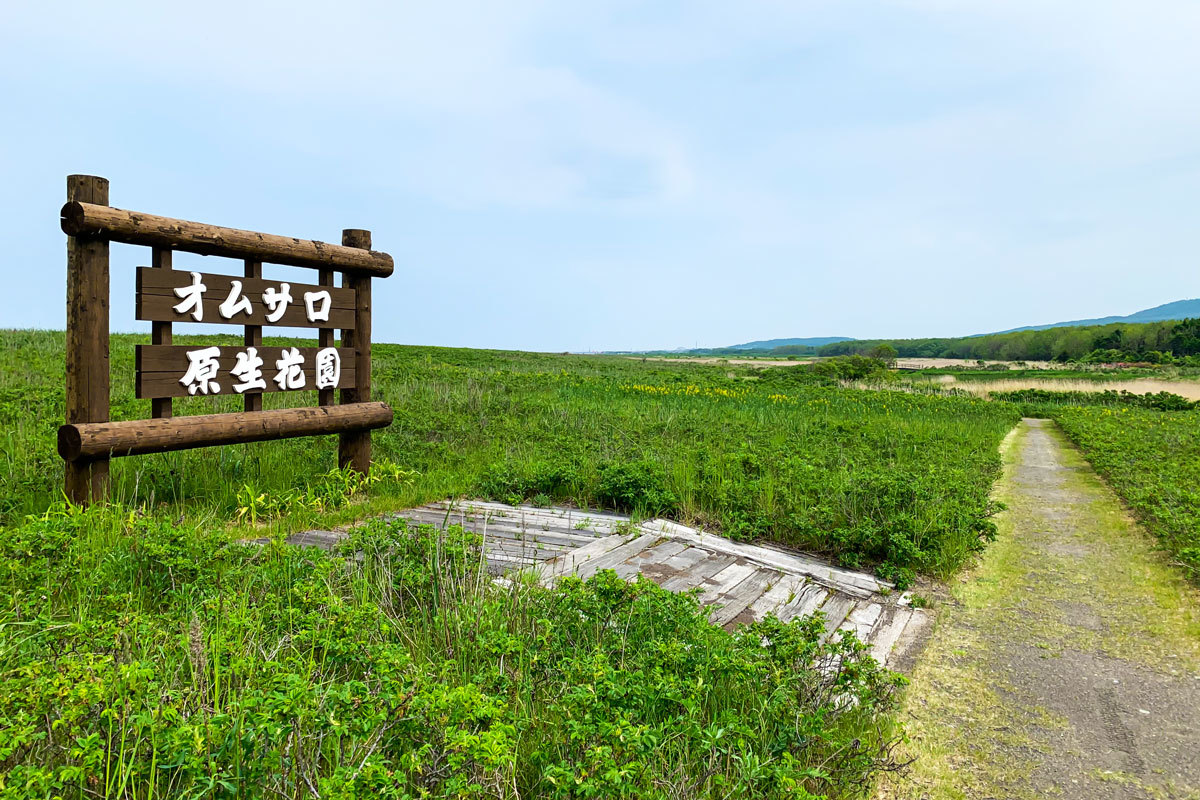 オムサロ原生花園_c0033513_20561370.jpg