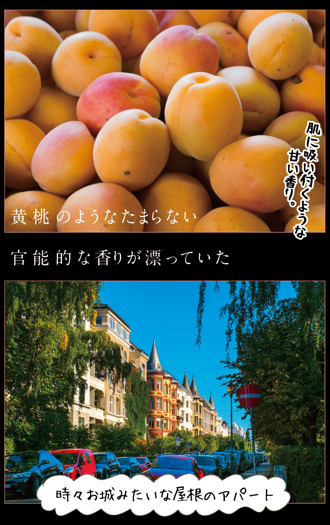アート旅行に行こう!その74_a0358016_21093336.jpg