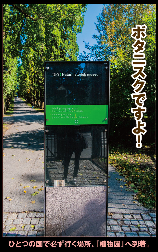 アート旅行に行こう!その74_a0358016_21114122.jpg