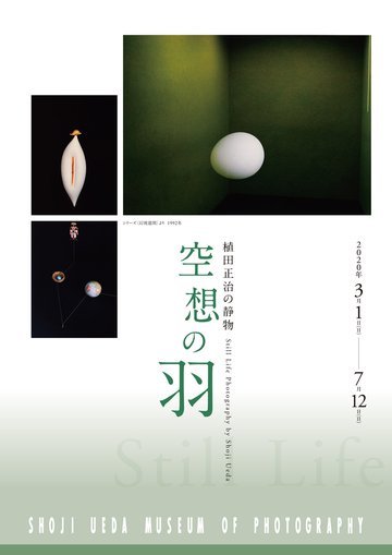 植田正治氏 展覧会「空想の羽―植田正治の静物」_b0187229_16371817.jpg