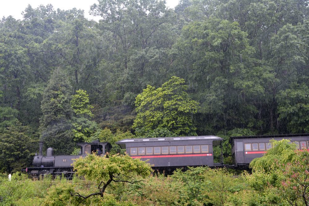 梅雨の12号機関車1_e0373930_22382461.jpg