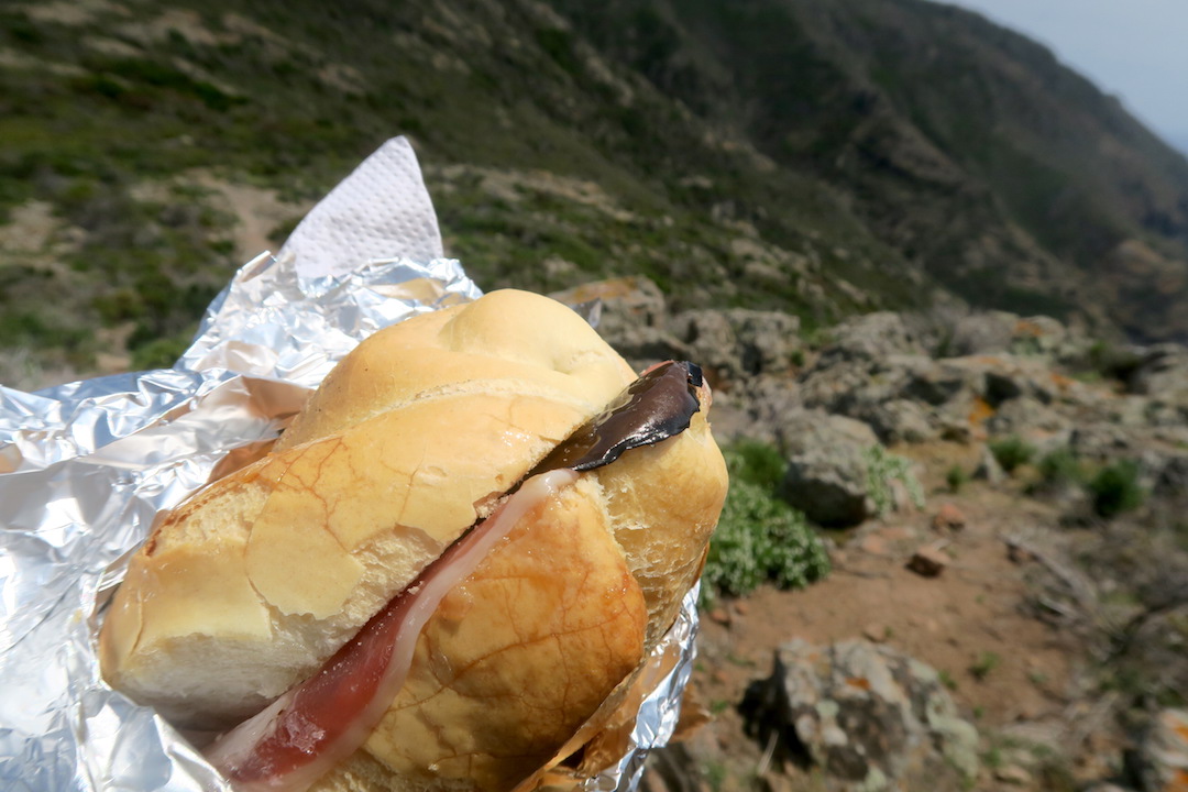 あでやかな蝶 青い海 カプライア島_f0234936_23135315.jpg