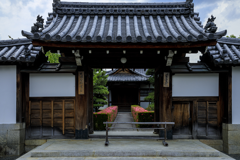 サツキライン（妙心寺塔頭・慈雲院）_f0155048_2303972.jpg
