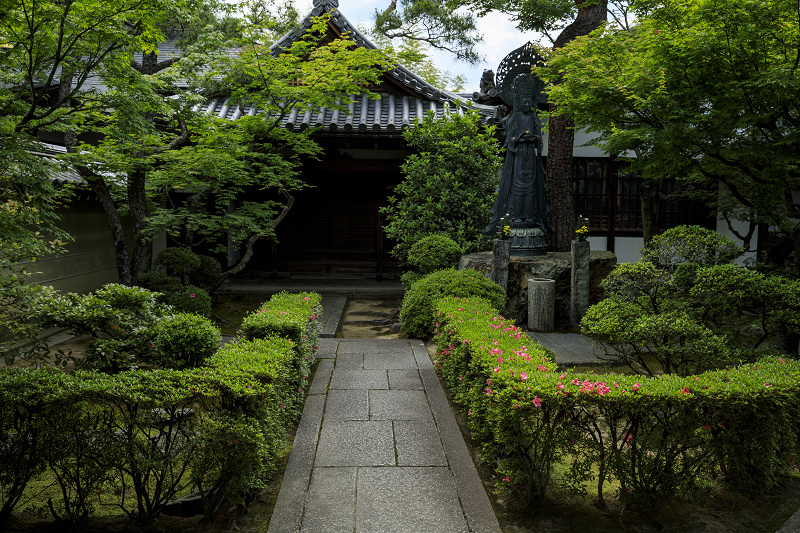 妙心寺塔頭・サツキ巡り_f0155048_23123691.jpg