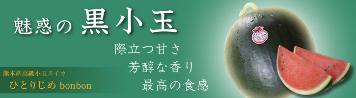 父の日ギフト2020年 熊本産!高級マスクメロン肥後グリーン、黒小玉スイカ(赤&黄色)がおすすめです!_a0254656_18085015.jpg