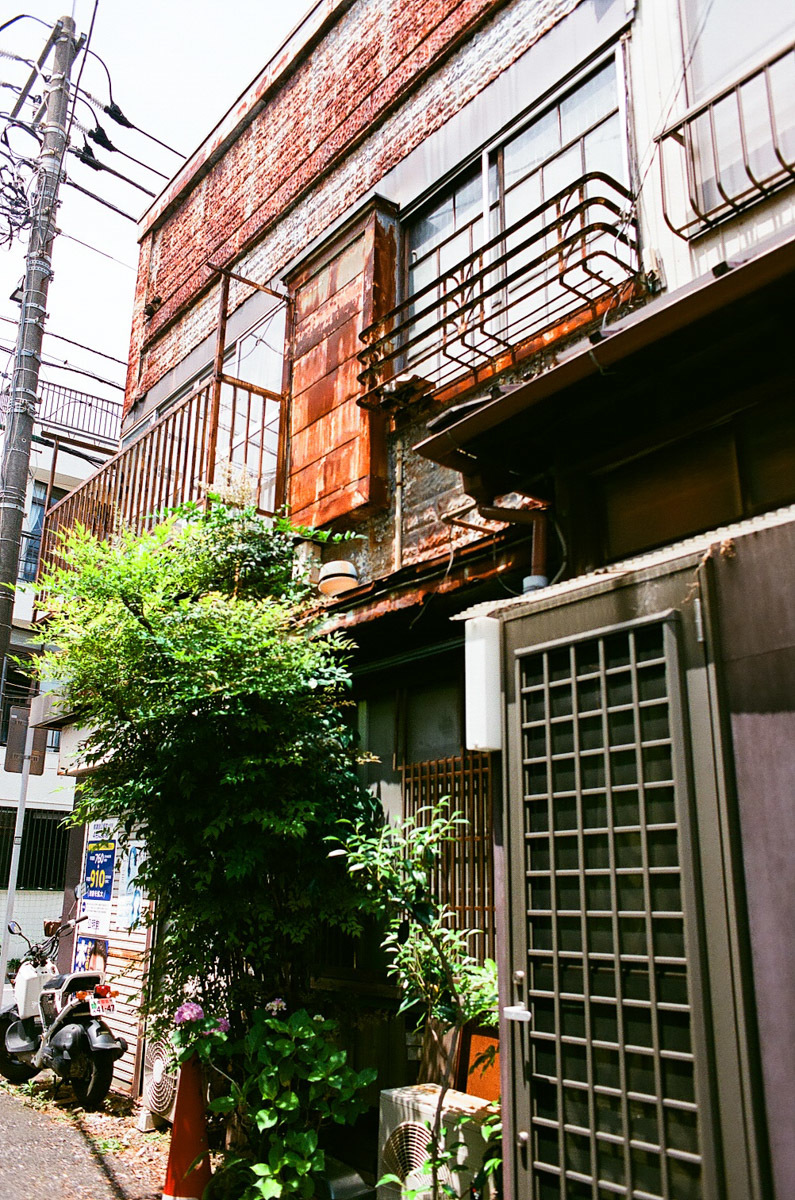 東向島一人一本~Ⅱ_c0084666_15151461.jpg
