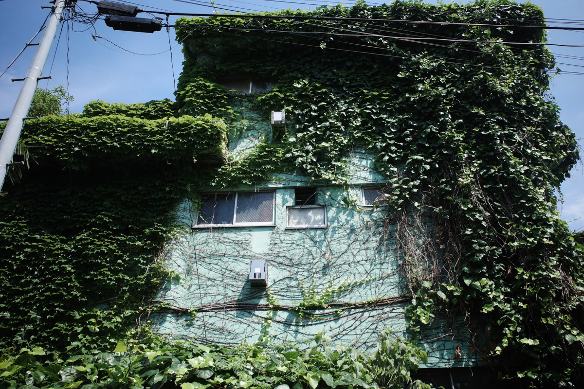 目指せ京島、あげいん~9_c0084666_21302186.jpg