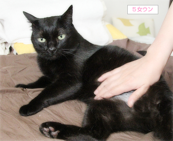よ~し対決_a0389088_17305528.jpg