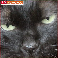 よ~し対決_a0389088_17305656.jpg