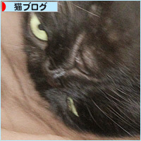 よ~し対決_a0389088_17305659.jpg