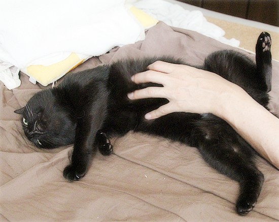 よ~し対決_a0389088_17305680.jpg