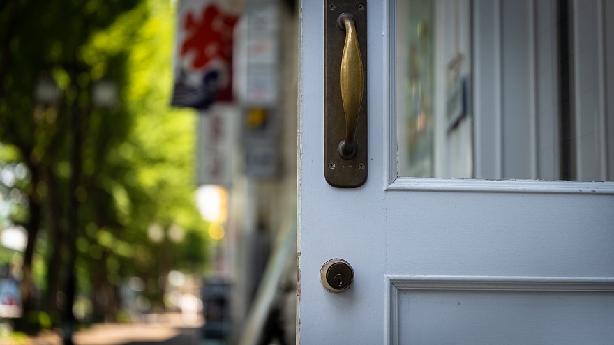 夏の光に溢れる緑たち_d0353489_20242118.jpg