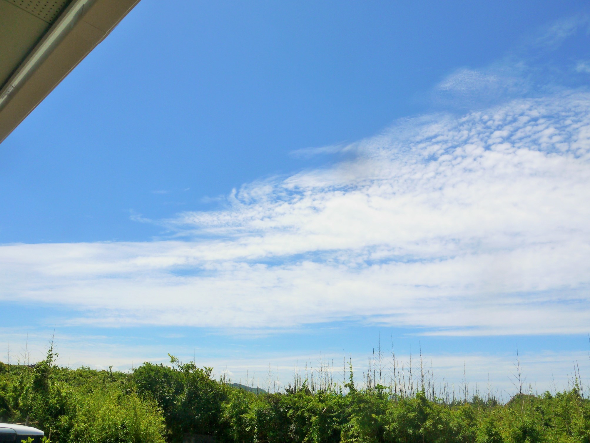 そろそろ梅雨 空が変わった リンとヒメの散歩道
