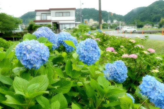 梅雨に入った榊原温泉_b0145296_17271006.jpg