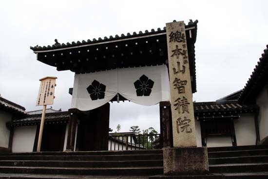 智積院　あじさいが盛り_e0048413_20312237.jpg