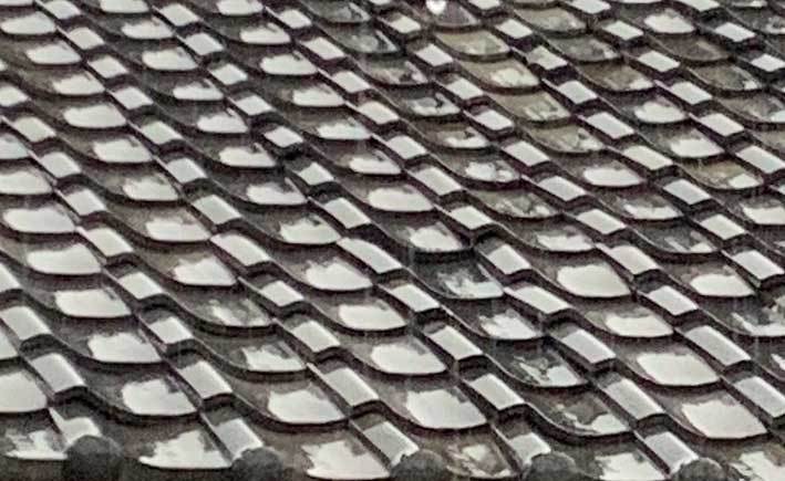 2020.06.11 梅雨入り_c0016718_16290914.jpg